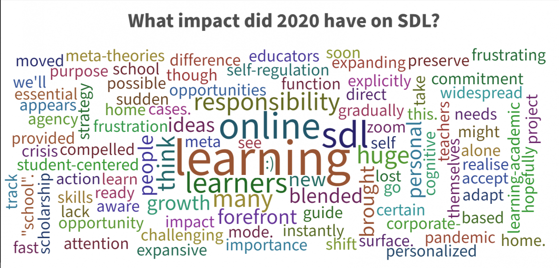 Impact of 2020 on SDL Image